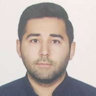 مهرداد ارغوانی