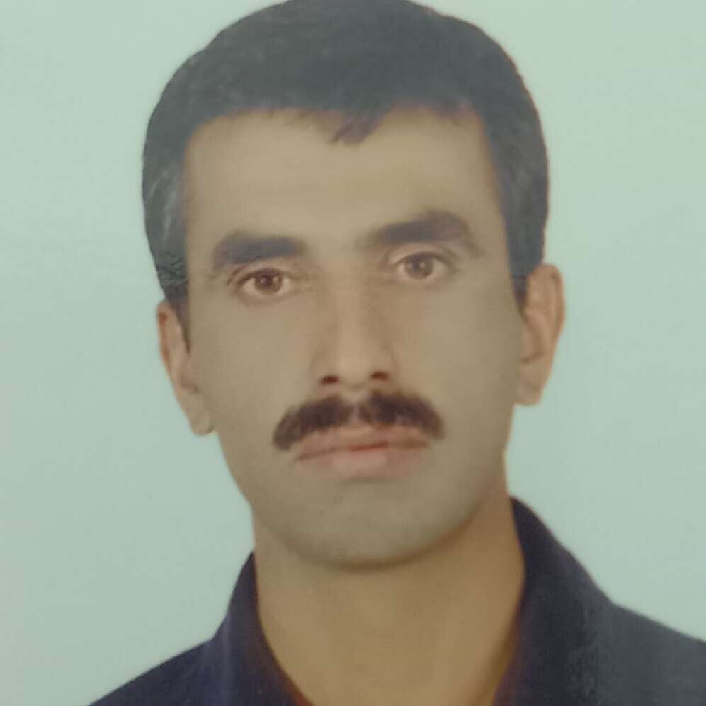 محمد شیخ