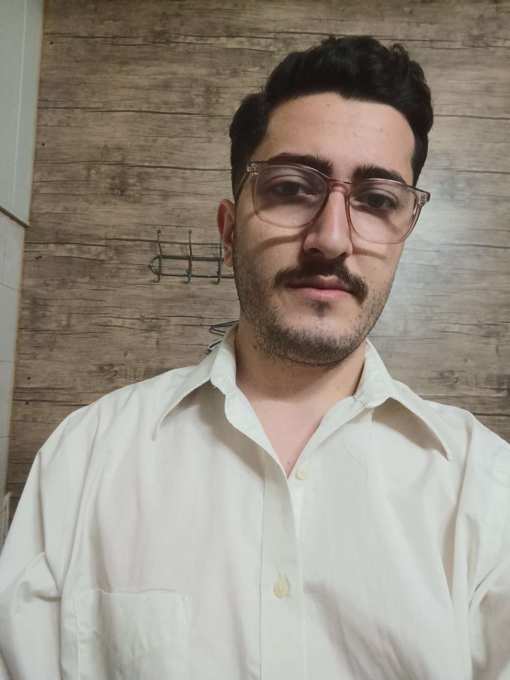 میثم بهزاد مغانلو