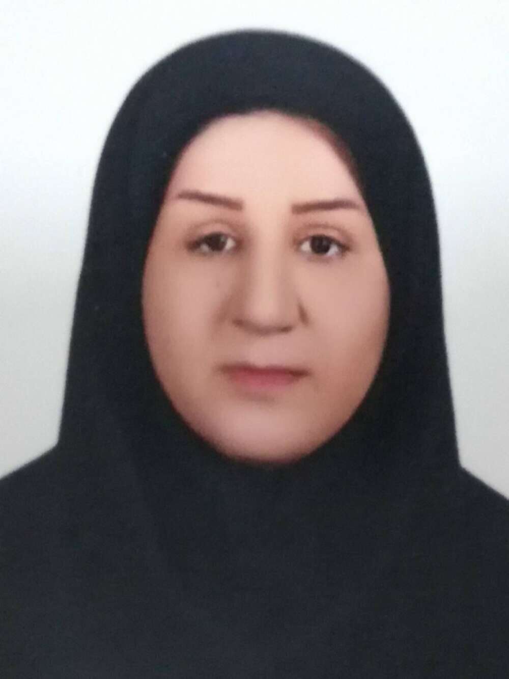 سینا داودی