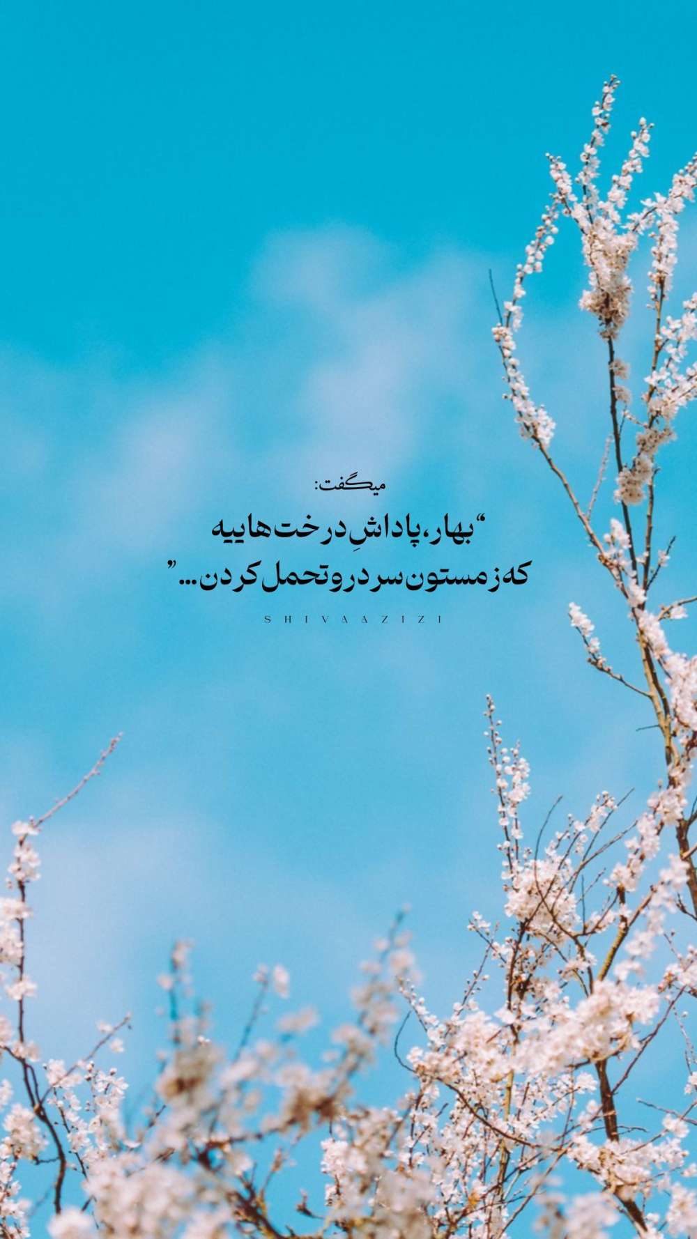 سارا مباشری