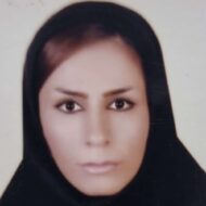 نازنین محمودی