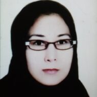 حمیده ابراهیمی
