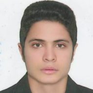 علی کامل