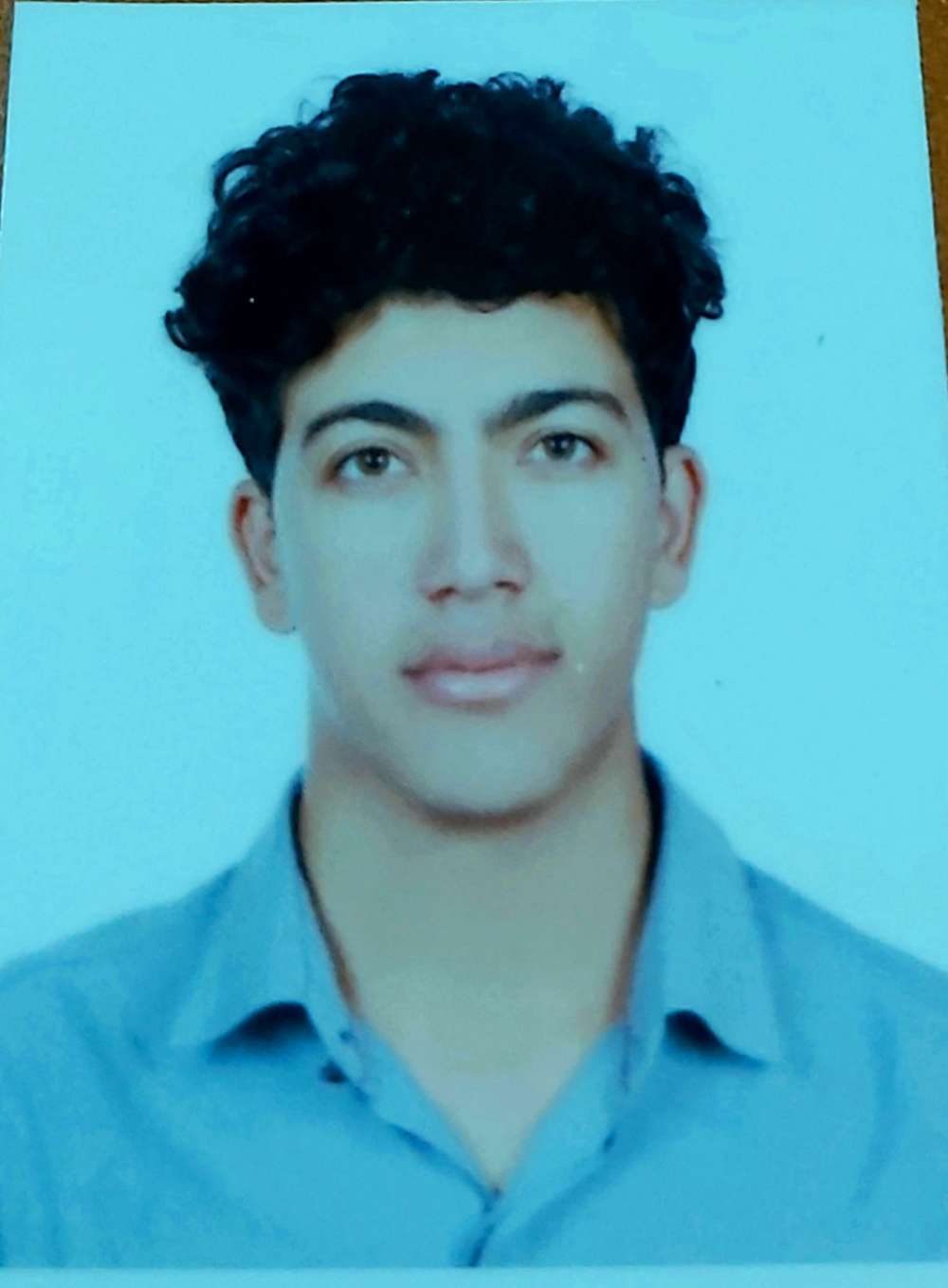 محمدرضا شیخ اوشاغی