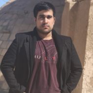 رضا حاکمی